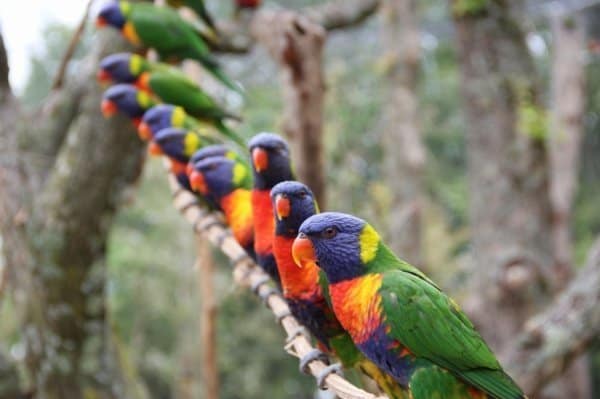 🤯 11 pépites lyonnaises anti-ennui : les activités insolites en famille qui vont sauver votre week-end (Édition printemps-été) 4 activités insolites en famille